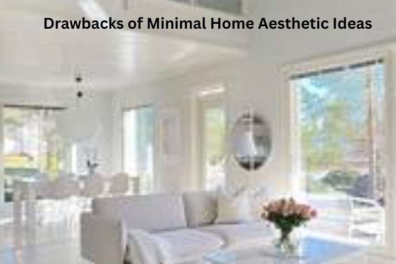 Drawbacks of Minimal Home Aesthetic Ideas
